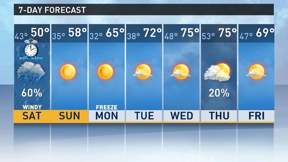 Cold, Windy, & Rainy Saturday