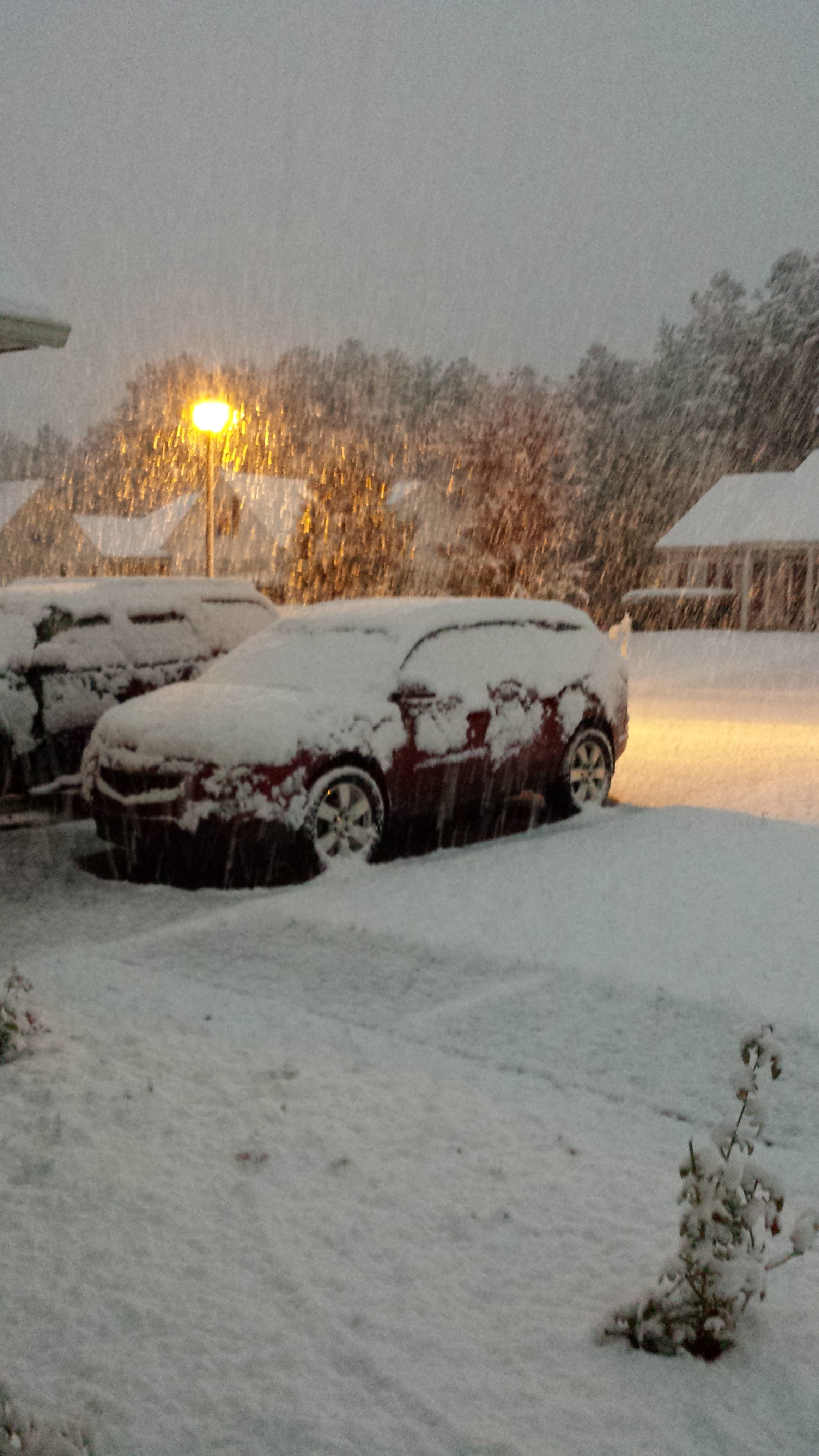 Winter Weather Awareness Week Starts In SC | Wltx.com