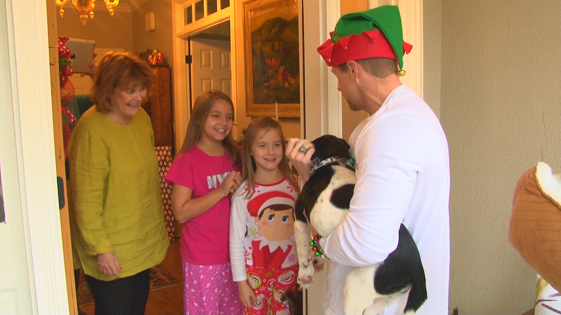 Pawmetto Lifeline Delivers Furry Friends on Christmas Morning | wltx.com