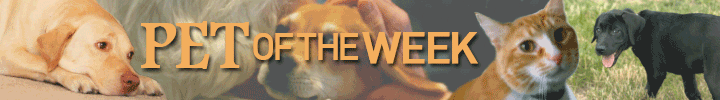 Pet of the Week