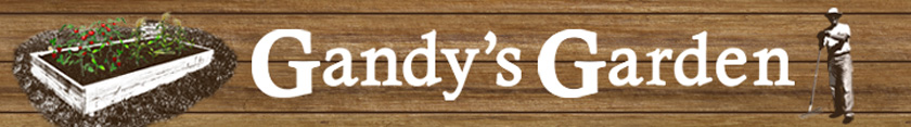 Gandy's Garden Gandy's Garden