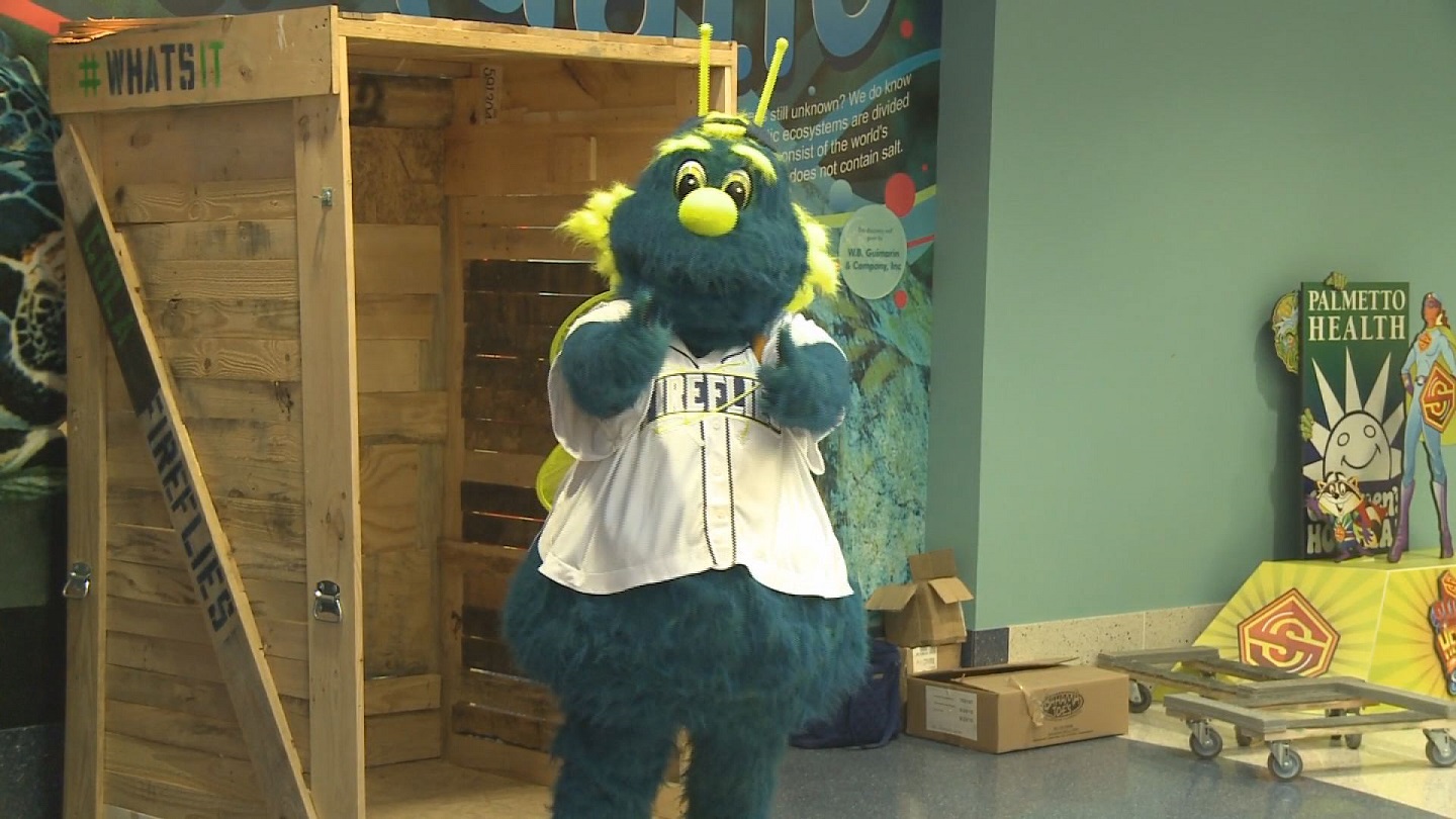 Meet the Columbia Fireflies Mascot