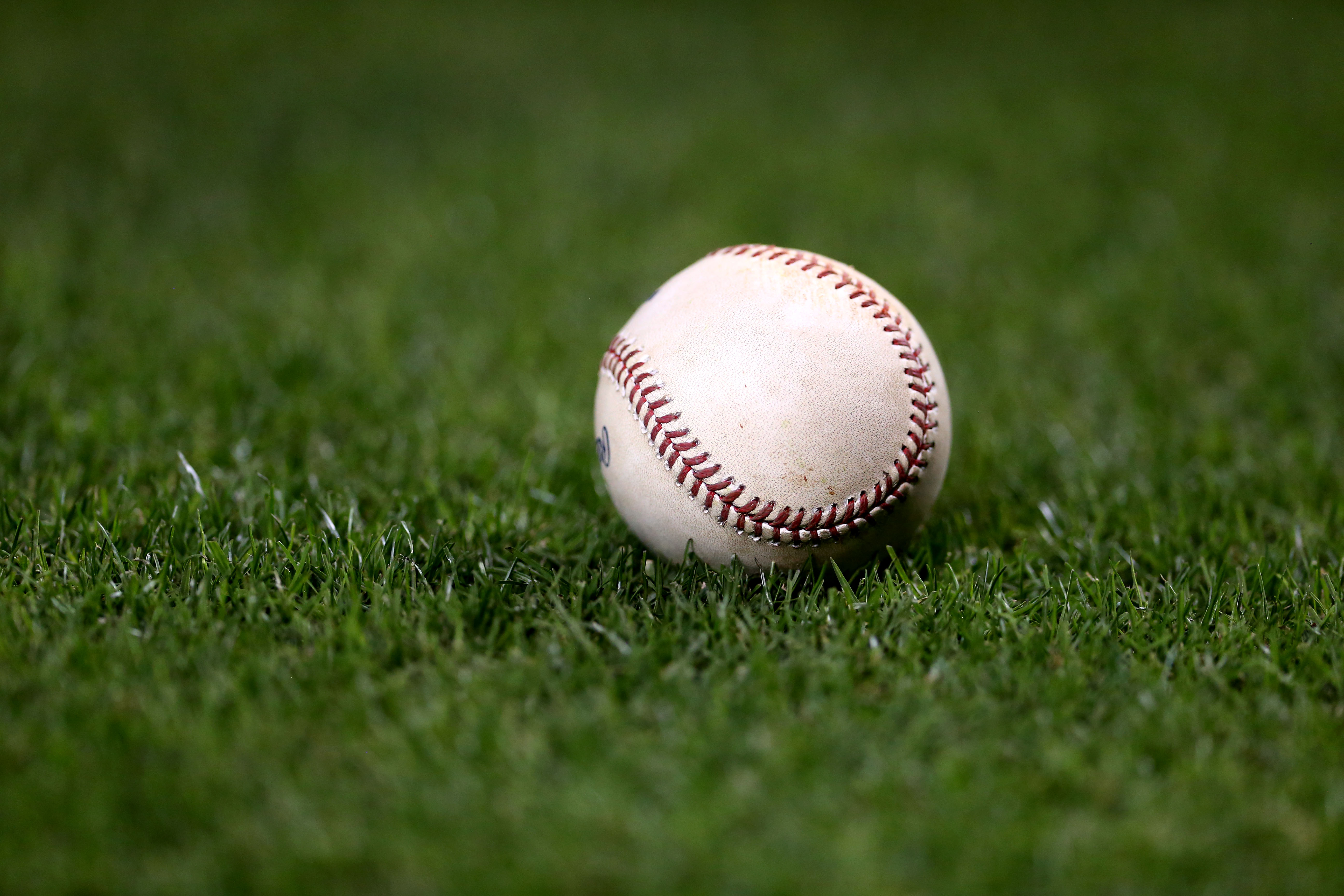 Friday Night Baseball - USC and Clemson Win | wltx.com