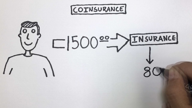 Insurance 101 - WLTX.com