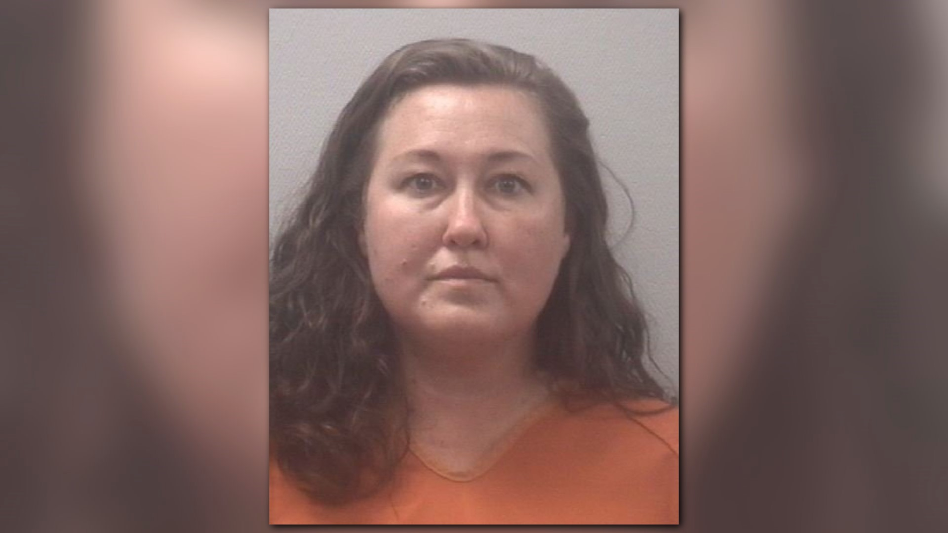 Cayce Woman Accused of Stealing from School's PTO Fund