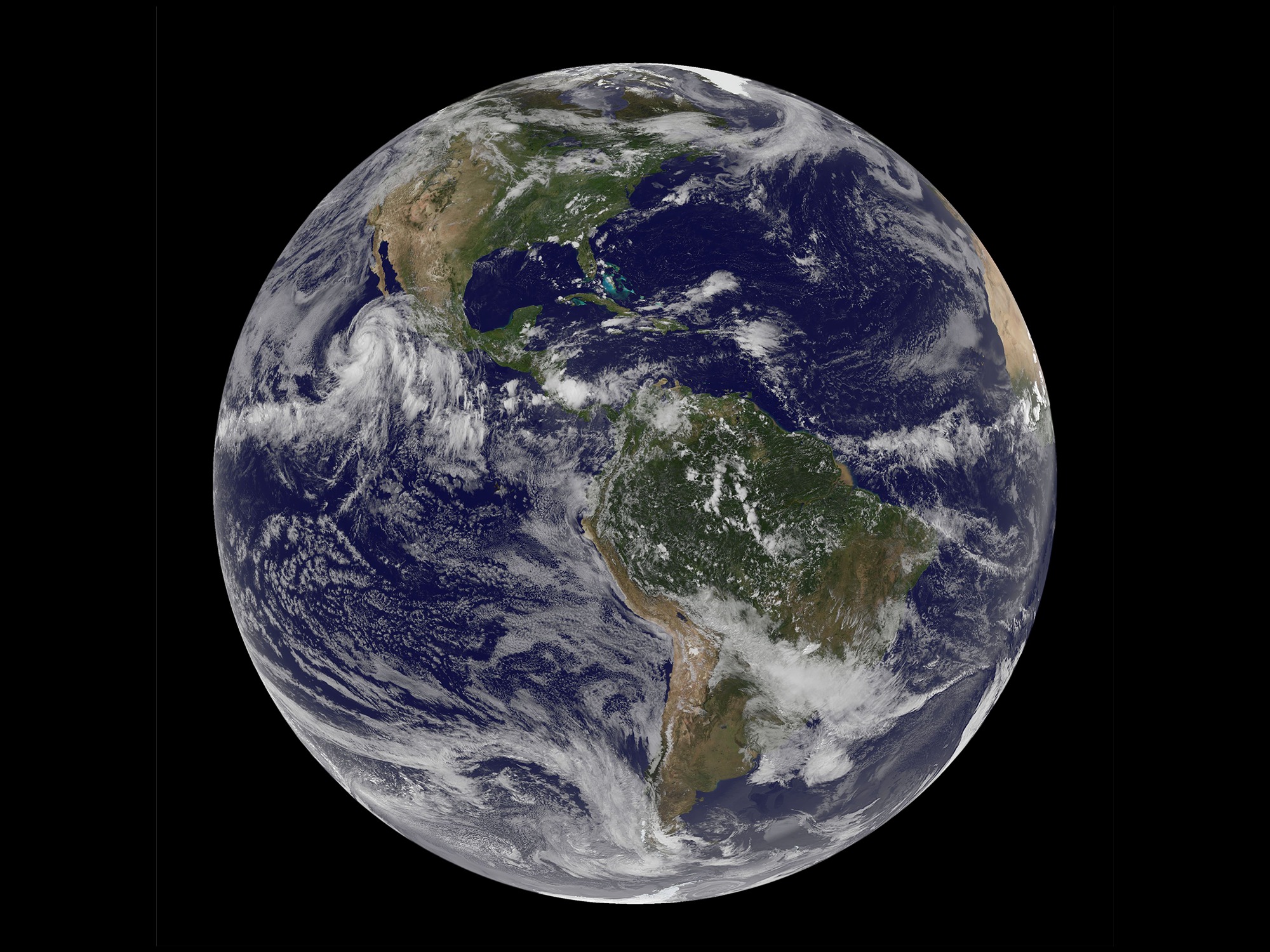 Study: Earth in the Midst of Mass Extinction | wltx.com