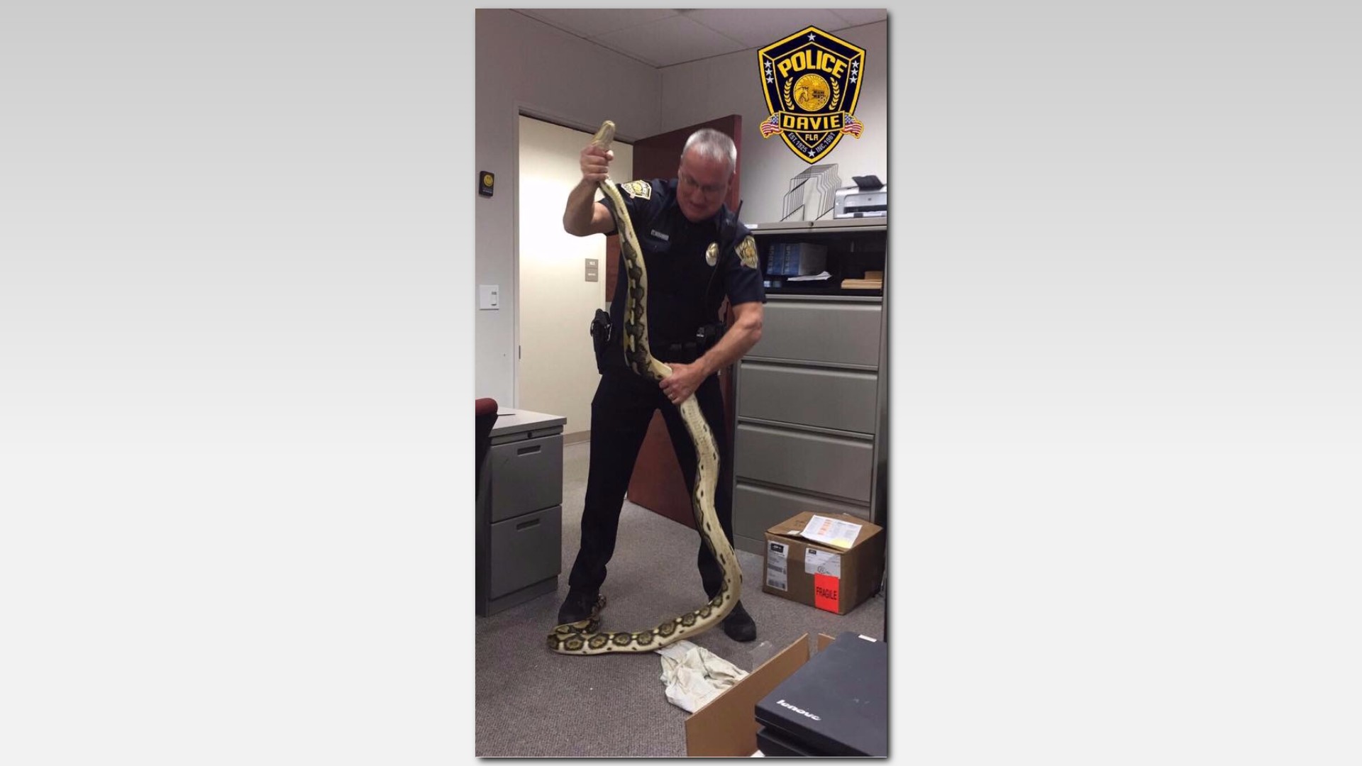 11-foot Python Found in Student's Car | wltx.com