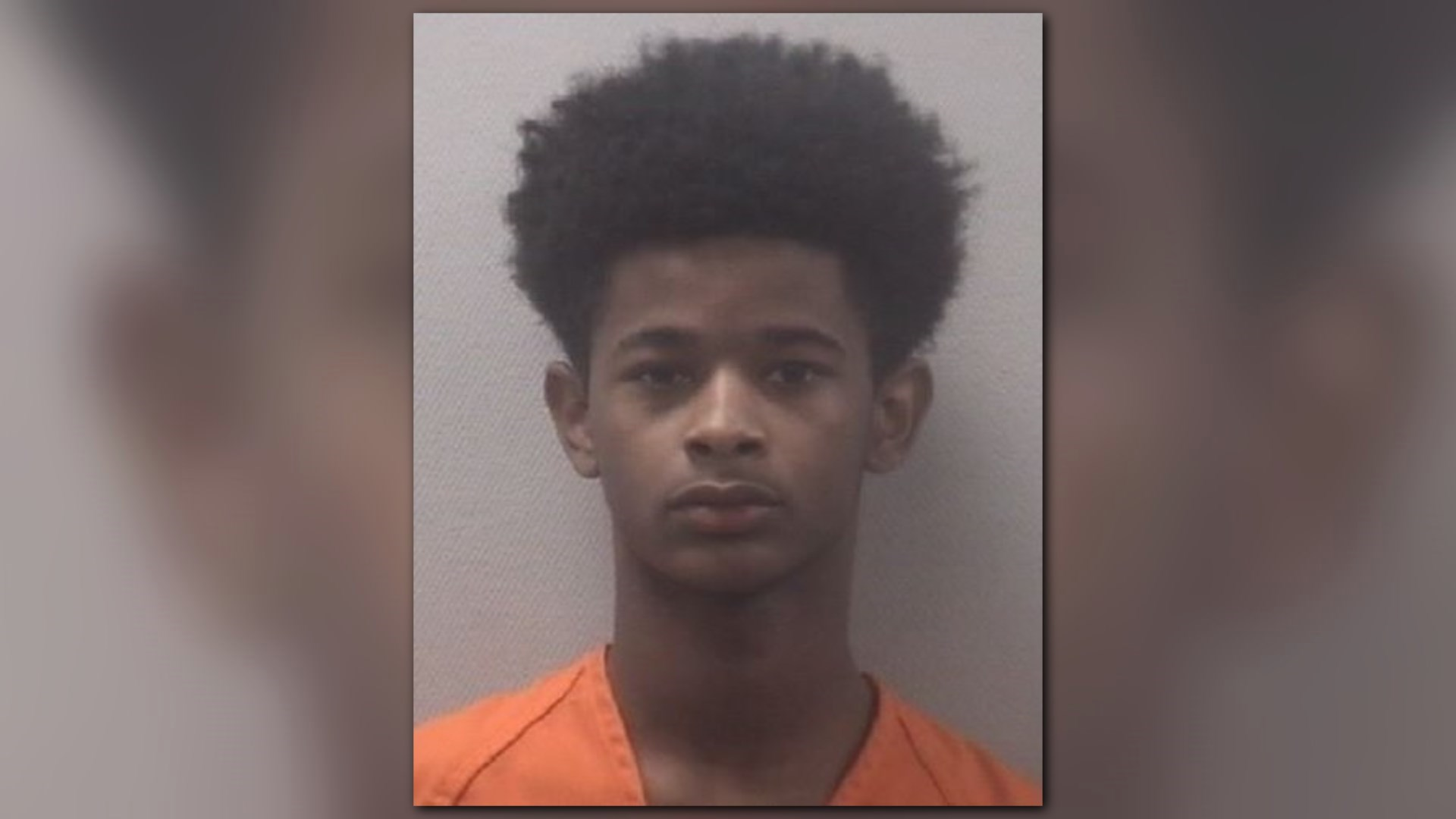 Teen Stabbed Person in Head During Fight, Deputies Say | wltx.com